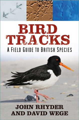 Bird Tracks : A Field Guide to British Species-9781803991702