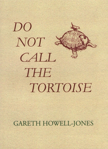 Do Not Call the Tortoise-9781399943109