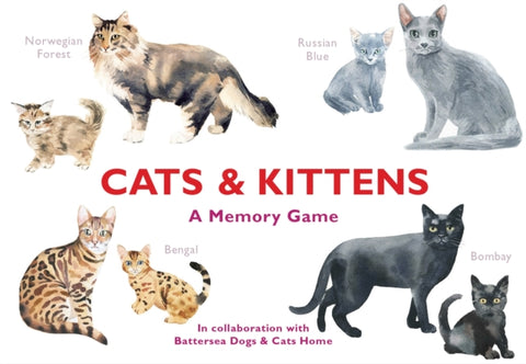 Cats & Kittens : A Memory Game-9781786272263