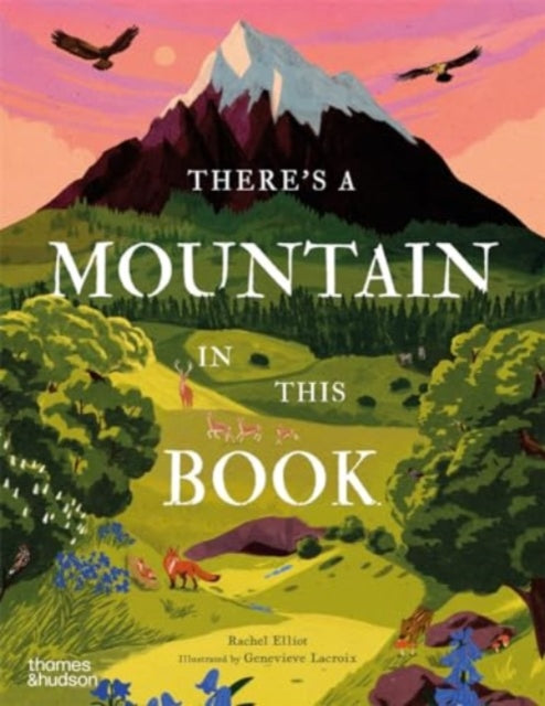 There's a Mountain in This Book-9780500653395