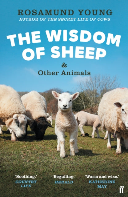 The Wisdom of Sheep & Other Animals : Observations from a Family Farm-9780571368266