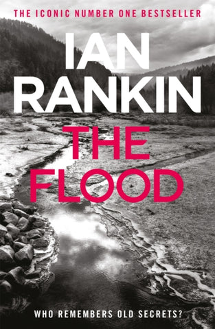 The Flood : From the iconic #1 bestselling author of A SONG FOR THE DARK TIMES-9780752883694