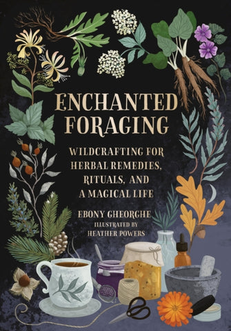 Enchanted Foraging : Wildcrafting for Herbal Remedies, Rituals, and a Magical Life-9780762484232