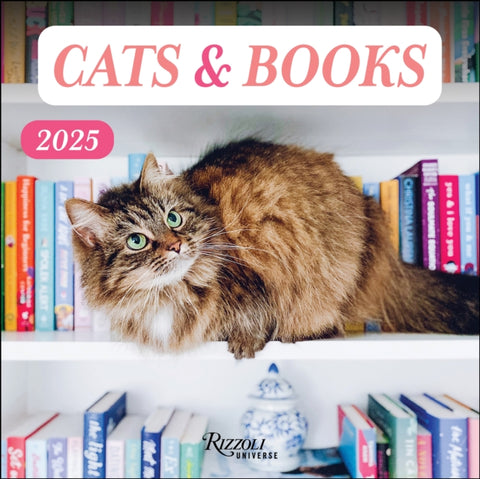 Cats & Books 2025 Wall Calendar-9780789344748