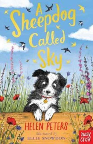 A Sheepdog Called Sky-9780857639110