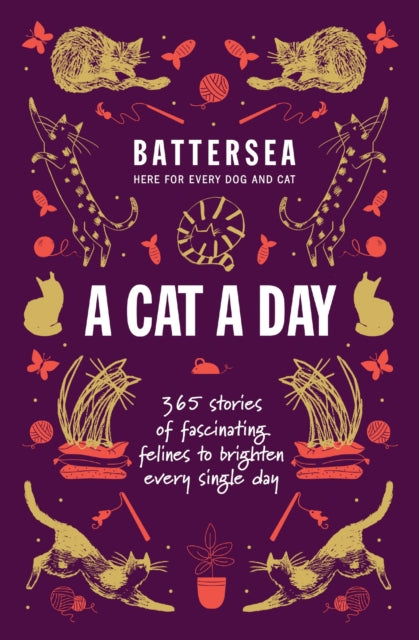 Battersea Dogs and Cats Home - A Cat a Day : 365 stories of fascinating felines to brighten every day-9781035425549