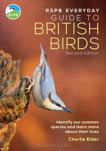 RSPB Everyday Guide to British Birds : Identify our common species and learn more about their lives-9781399413275