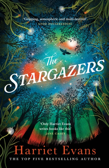 The Stargazers : A captivating, magical love story with a breathtaking twist-9781472251107