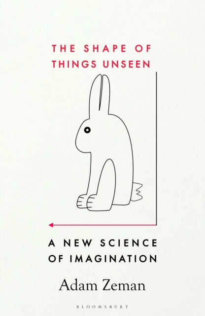 The Shape of Things Unseen : A New Science of Imagination-9781526609731