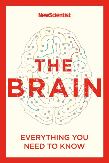 The Brain : Everything You Need to Know-9781529363319