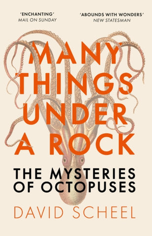 Many Things Under a Rock : The Mysteries of Octopuses-9781529392647