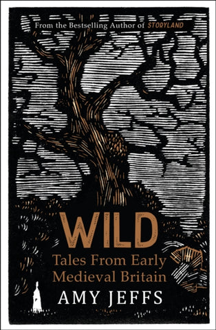 Wild : Tales from Early Medieval Britain-9781529424263