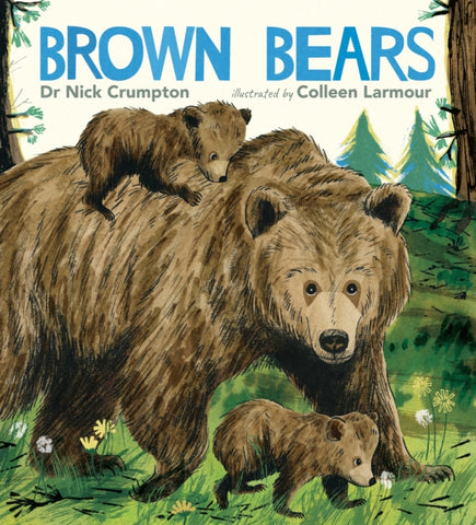 Brown Bears-9781529508727