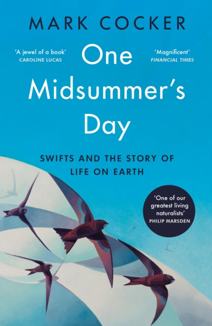 One Midsummer's Day : Swifts and the Story of Life on Earth-9781529921991