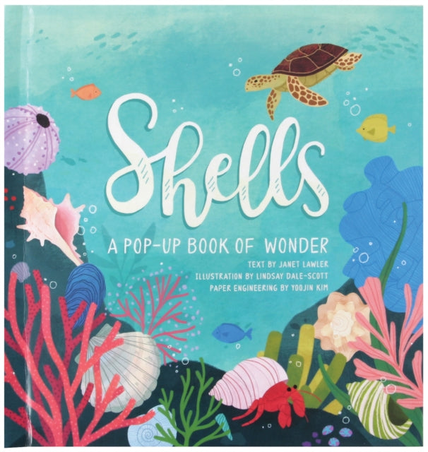 Shells : A Pop-Up Book of Wonder-9781623485269