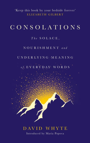 Consolations : The Solace, Nourishment and Underlying Meaning of Everyday Words-9781786897633