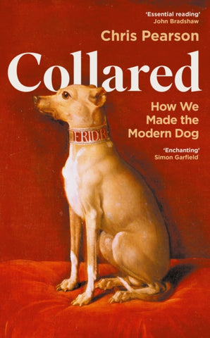 Collared : How We Made the Modern Dog-9781800816411