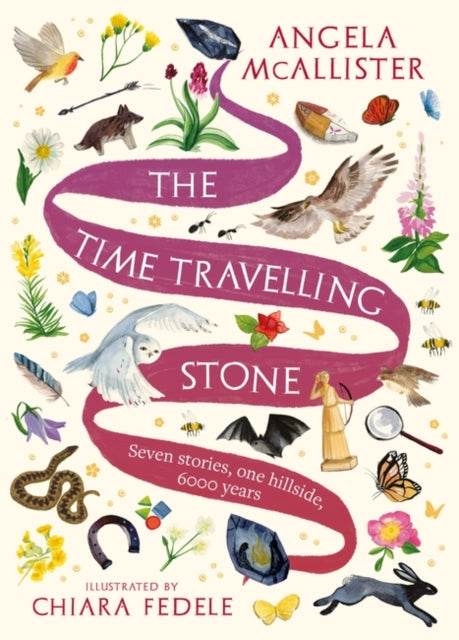 The Time Travelling Stone : Seven stories, one hillside, 6000 years-9781801107532