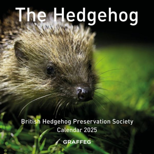 The The Hedgehog Calendar 2025-9781802587753