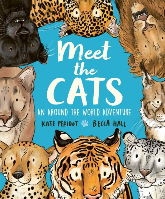 Meet the Cats-9781804535462