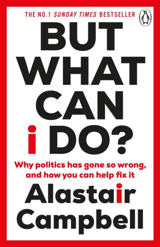 But What Can I Do? : Why Politics Has Gone So Wrong, and How You Can Help Fix It-9781804943137