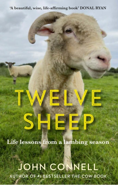 Twelve Sheep : Life lessons from a lambing season-9781805461906