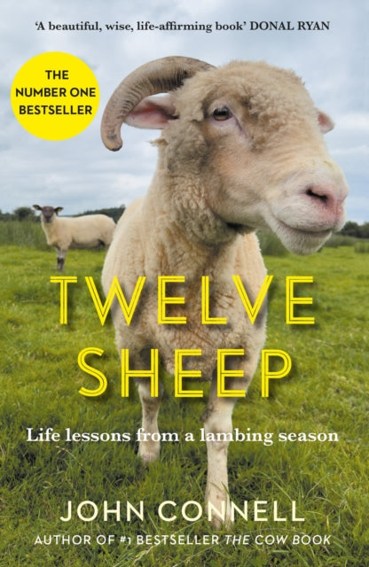 Twelve Sheep : Life lessons from a lambing season-9781805461906