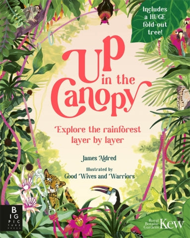 Up in the Canopy : Explore the Rainforest, Layer by Layer-9781835870945