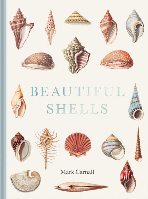 Beautiful Shells-9781851246168