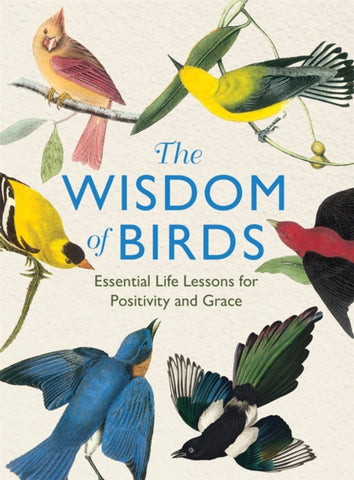 The Wisdom of Birds : Essential Life Lessons for Positivity and Grace-9781915751140