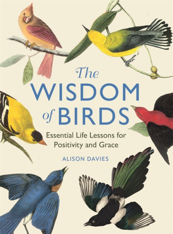 The Wisdom of Birds : Essential Life Lessons for Positivity and Grace-9781915751140