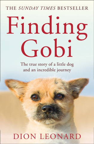 Finding Gobi (Main edition) : The True Story of a Little Dog and an Incredible Journey-9780008227968