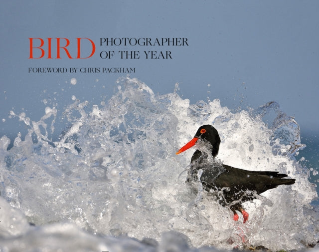 Bird Photographer of the Year : Collection 5-9780008336202