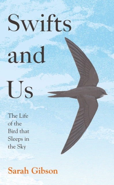 Swifts and Us : The Life of the Bird That Sleeps in the Sky-9780008350666