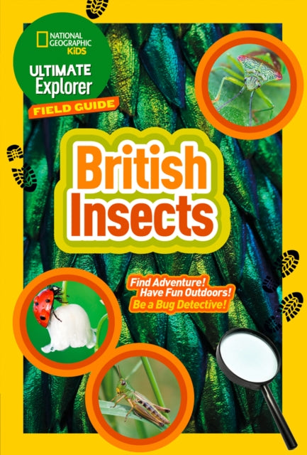 British Insects : Find Adventure! Have Fun Outdoors! be a Bug Detective!-9780008374556