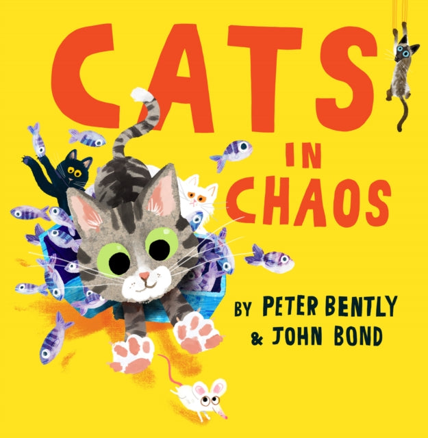 Cats in Chaos-9780008469184