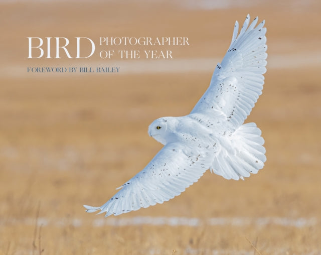 Bird Photographer of the Year : Collection 6-9780008496241