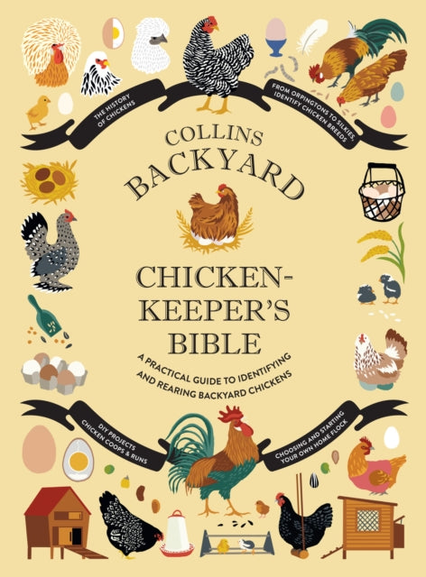 Collins Backyard Chicken-keeper's Bible : A Practical Guide to Identifying and Rearing Backyard Chickens-9780008529444