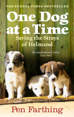 One Dog at a Time : Saving the Strays of Helmand - An Inspiring True Story-9780091928810