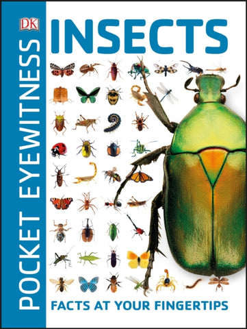 Pocket Eyewitness Insects : Facts at Your Fingertips-9780241343685