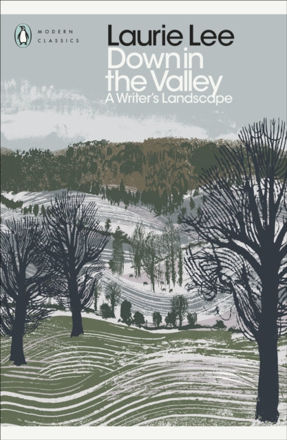 Down in the Valley : A Writer's Landscape-9780241411698