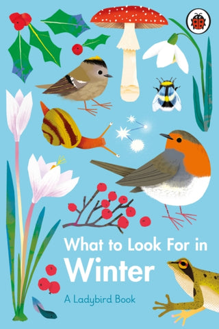 What to Look For in Winter-9780241416228