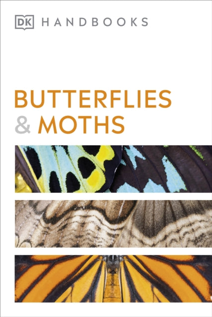 Butterflies and Moths-9780241600993