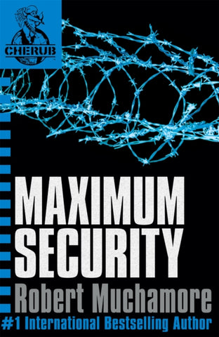 Maximum Security-9780340884355