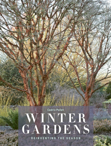 Winter Gardens : Reinventing the Season-9780711255982
