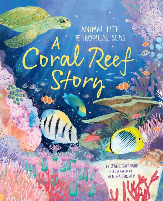 A Coral Reef Story : Animal Life in Tropical Seas-9780753448076