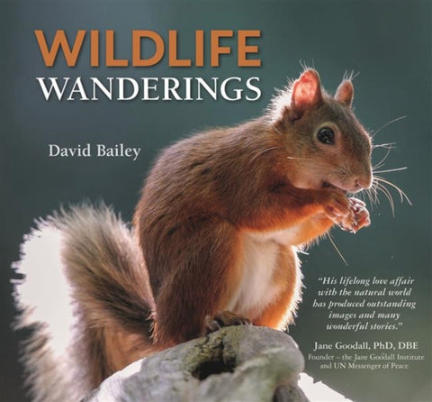 Wildlife Wanderings-9780857043528