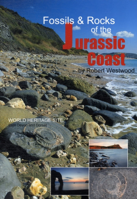 Fossils and Rocks of the Jurassic Coast-9780956410443