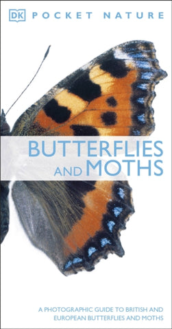 Butterflies and Moths-9781405349956