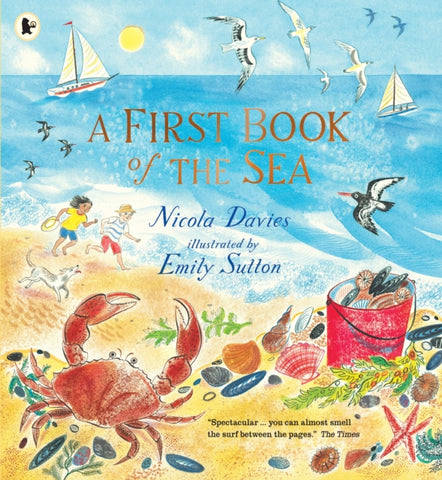 A First Book of the Sea-9781406391015